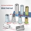 Langsai ZeBo 304SS Blind Rivet Nuts