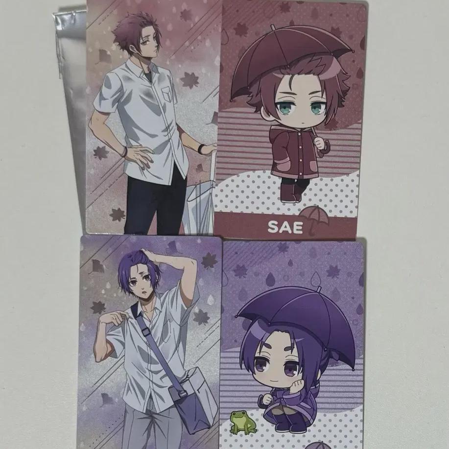 

Blue Rock Sa Leo Rain Fall Rain Training Photo Card Batch