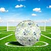 1pc Dinosaur Adventure Theme Soccer Ball Football, Size 5, Lightweight PVC, Outdoor Training Soccer Ball,Gift c6578