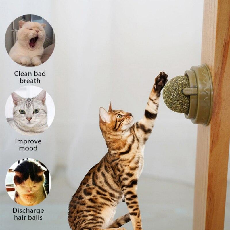 rotating cat mint ball