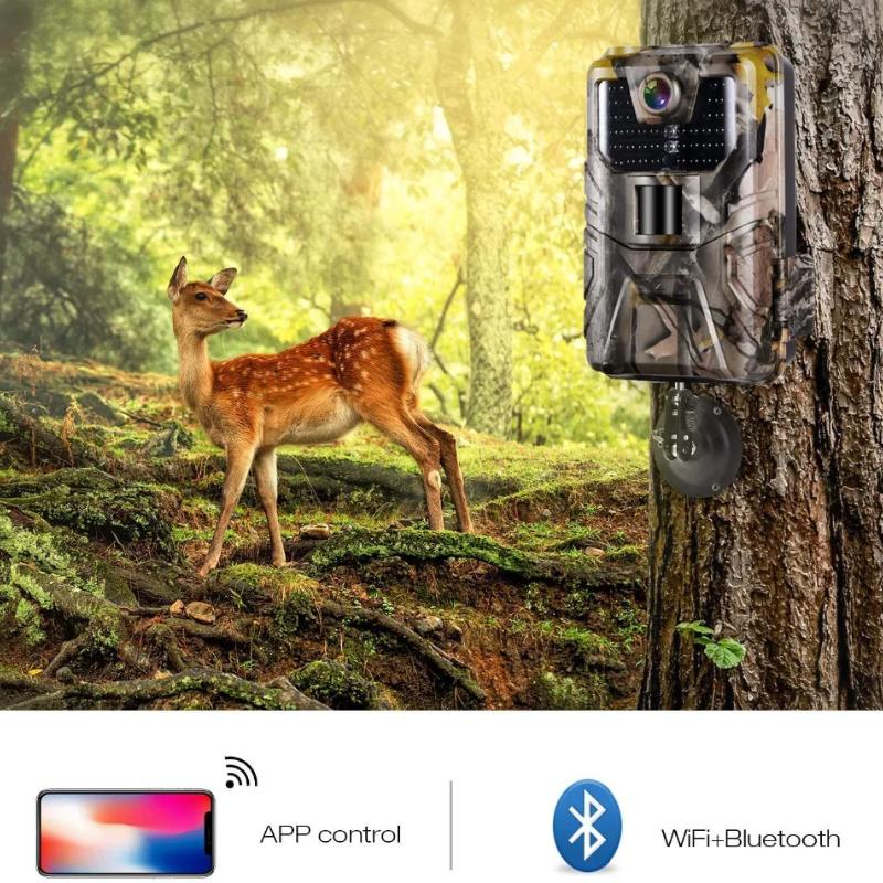 LS VISION WIFI Live Stream Trail Camera 4K 30MP APP Bluetooth Control Outdoor Hunting Cameras Night Vision WIFI900PRO Wildlife Surveillance