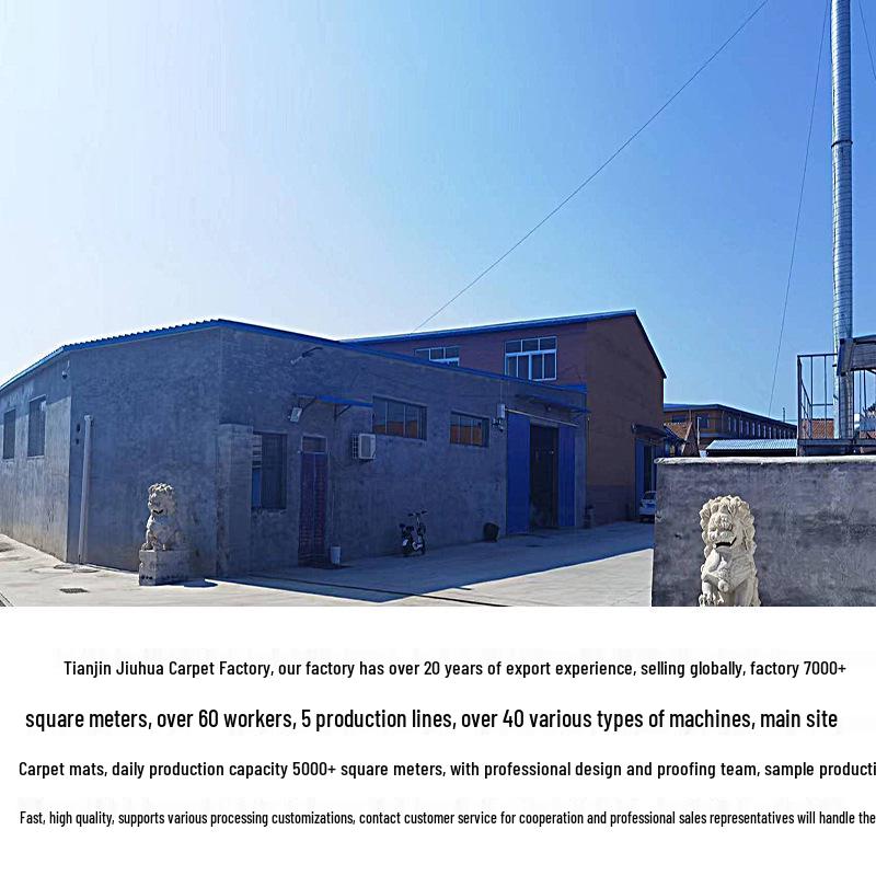 Cross-Border Prayer Carpet Flannel Floor Mat - Irregular Shape, Custom Print, Thick Cushion for Living Room