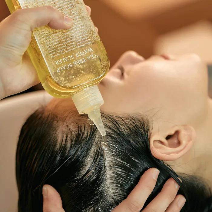 [Scalp Strengthening Gift Recommendation] Tea Tree Scalp Water Scaler Package