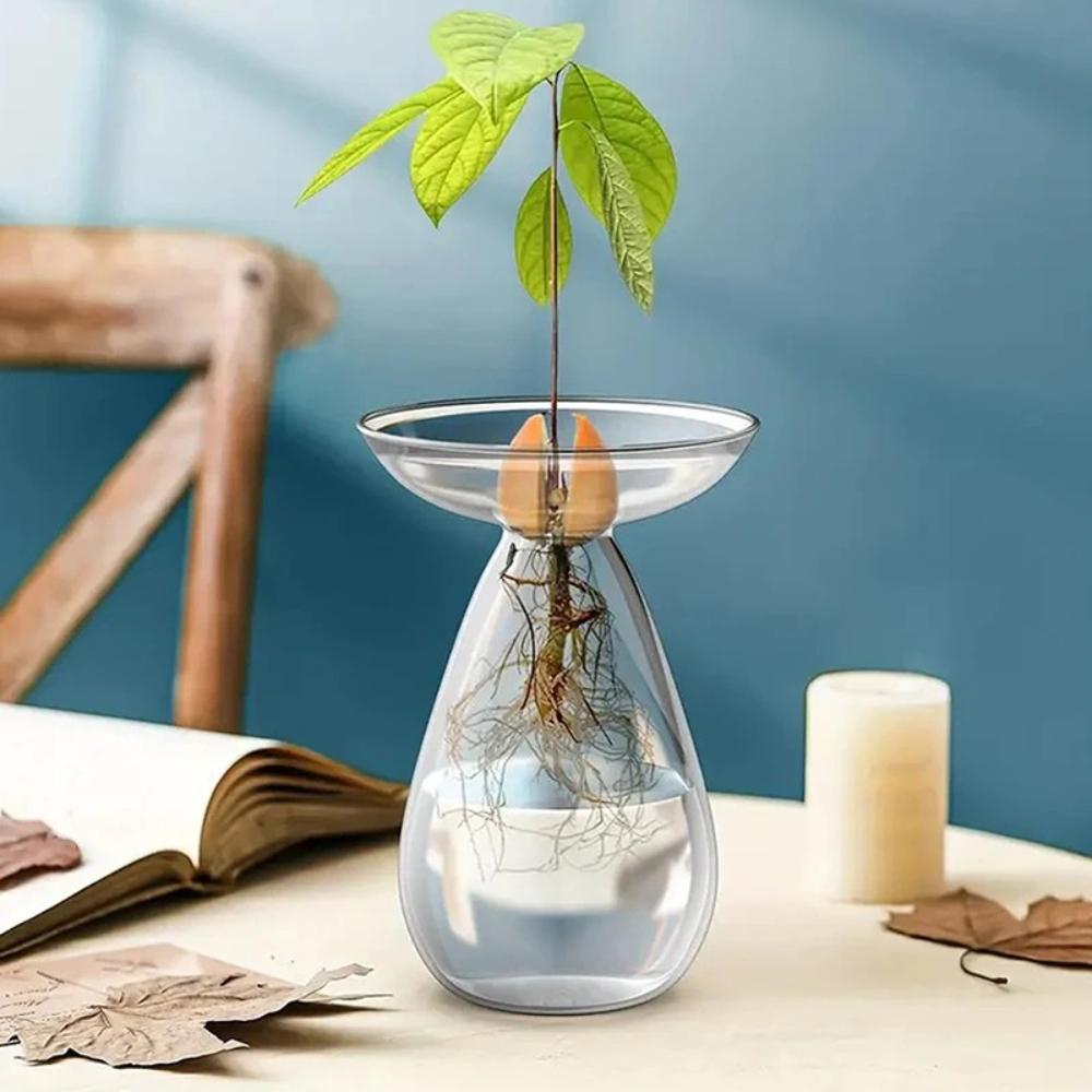 Colorful Transparent Avocado Hydroponic Vase Long Oval Hydroponic Vessel Growing Plant Glass Gardening Lovers Home Decor