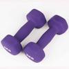 2kg Fitness Dumbbell