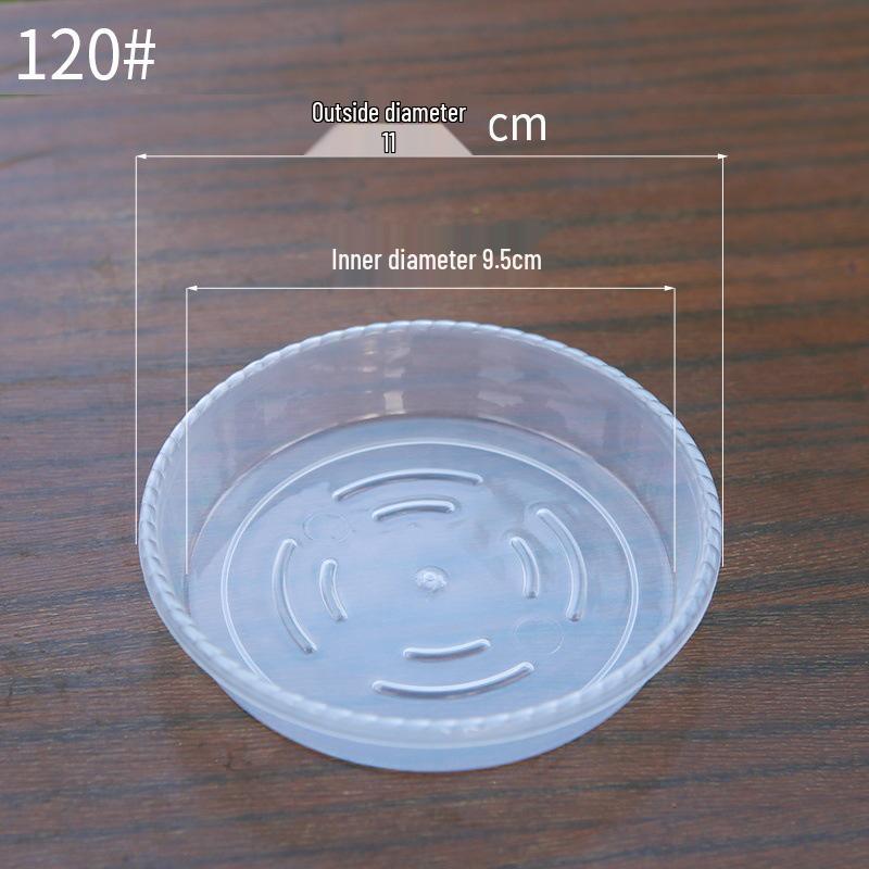 Transparent Breathable Flower Pot for Phalaenopsis and Dendrobium - Root Control Design