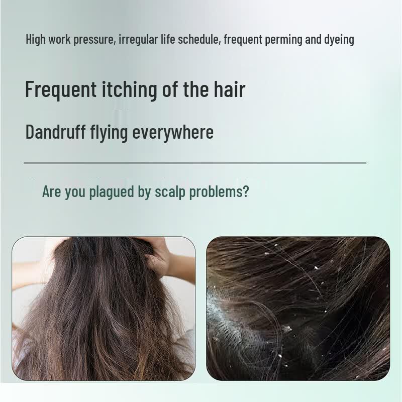 Slek Oxygen Active Smooth Anti-Dandruff Shampoo