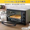 Iris Ohyama konvekční trouba Airfryer Parní toustovač stříbrný FVC-D15B-S