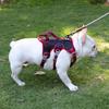 Three Stage Dog Harness Escape Proof Adjustable Pet Vest Harness with Leash Attachment