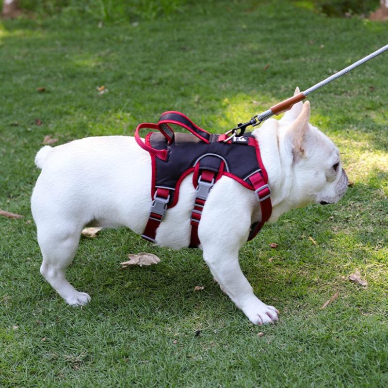 Three Stage Dog Harness Escape Proof Adjustable Pet Vest Harness with Leash Attachment