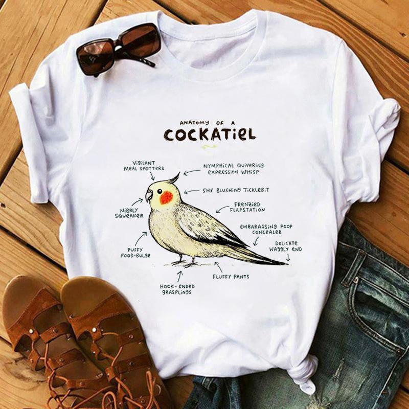Harajuku Kawaii Tshirt Anatomia Da Raposa Gato Grfico Tees Das Mulheres Tops Esttica T Shirt Tripulao Pescoo Roupas De Vero Para As Mulheres