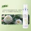 BOAE Camellia Fresh Breath Oral Spray