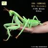 Realistic Insect Figure Collection Set Miniature Model With Detailed Sculpting Collectible Desk Display Decor Gift For Fans
