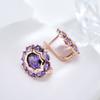 Unusual Sparkling Oval Purple Natural Zircon English Earrings For Women Luxury  Rose Gold Color Party Daily Jewelry