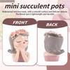 M-Moderne-Petit Pot de Plante Succulente Fée Kit Avec Trou de Drainage 4 Pouces Pot Cactus Intérieur Vases Fleurs Mignons Uniques Décor Facile À