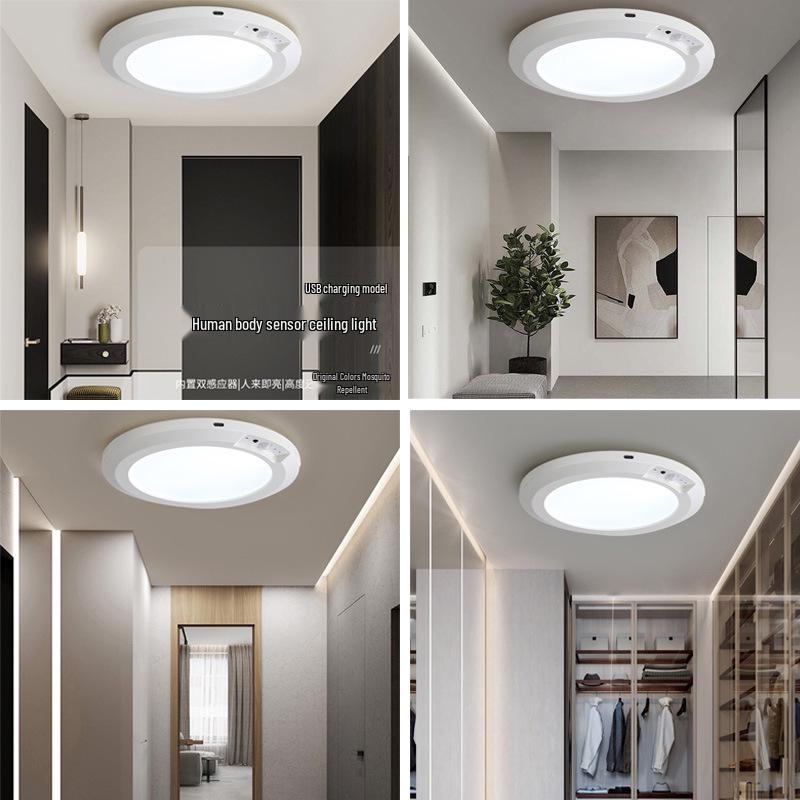 Rechargeable Motion Sensor Ceiling Light for Home Decor & Corridor Ambiance