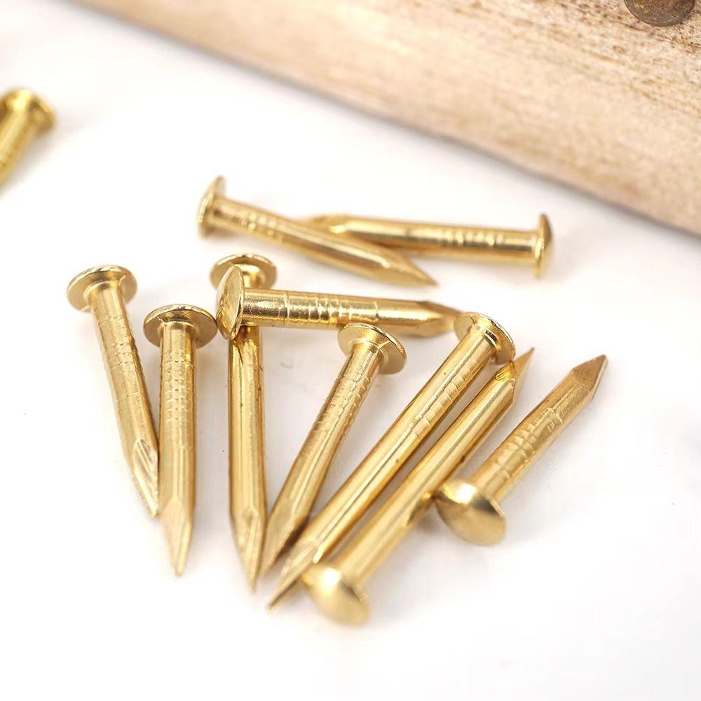 100 pcs Round Head Round Head Pins Rust-proof Brass Nail Track Mini Brass Nails Models Crafts
