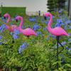 Solar Flamingo LED Ground Light - Outdoor Landscape and Lawn Decoration