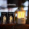 SkyFire Rechargeable LED Camping Lantern