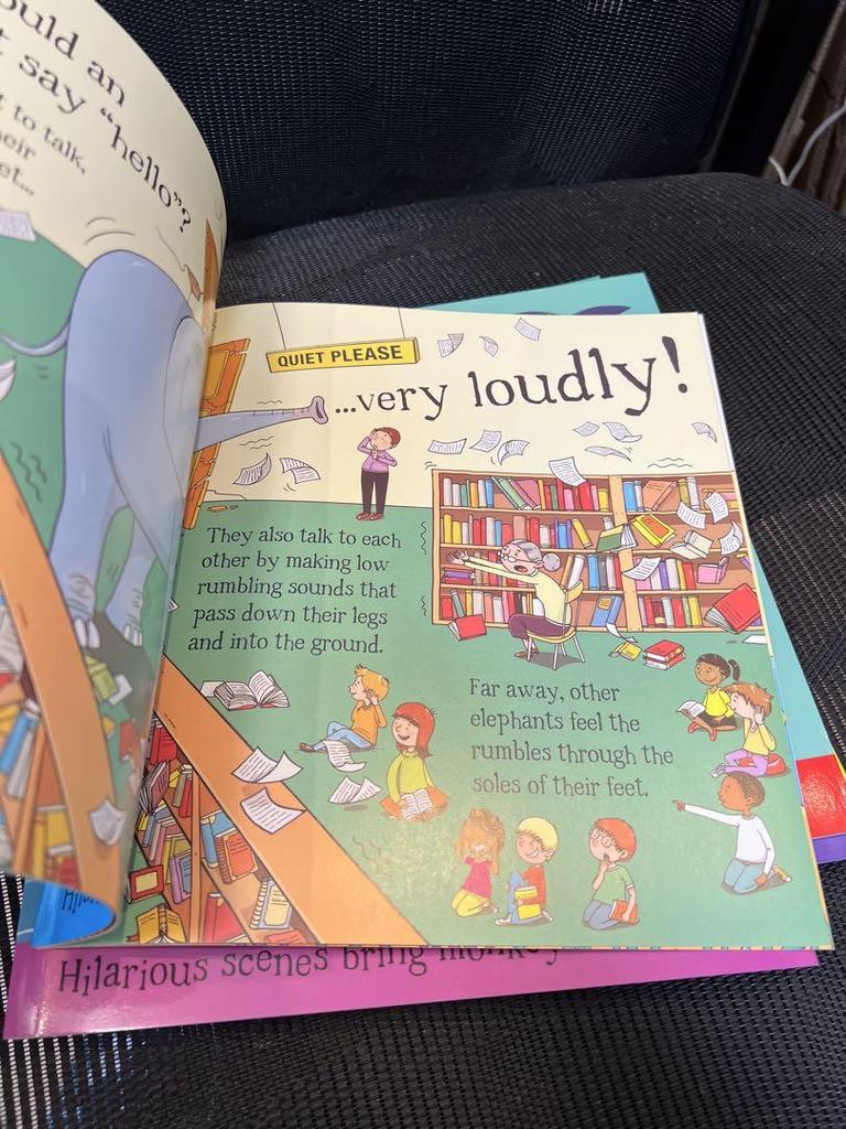 [USED] English Picture Books: Could a Series 10 books