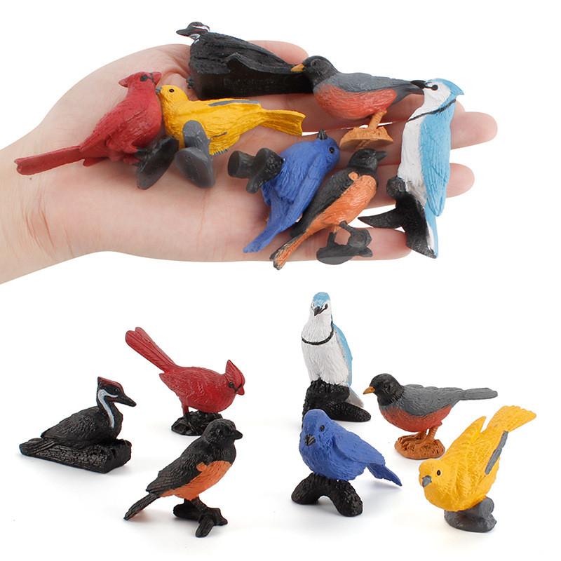 Mini Bird Model Set With Pvc Material For Collection And Display