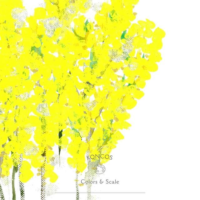 

LP Record KONCOS - Colors & Scale DDJB91207 AWDR/LR2 2017 Japan Japanese Pop/Rock