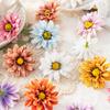10/20PCS Small Daisy Artificial Flowers Home Room Table Decor Wreaths Wedding Bridal Accessories Clearance Headwear Brooch Gifts