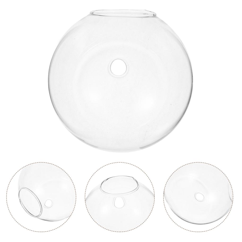 Hanging Hydroponic Vase Clear Glass Wall Mounted Terrarium for Lucky Bamboo Plant Propagation Small Fish Bowl Indoor Decor