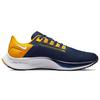 Nike Air Zoom Pegasus 38 'West Virginia' DJ0864-400