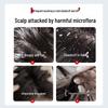 CaiLe Scalp Care Bifida Ferment Shampoo