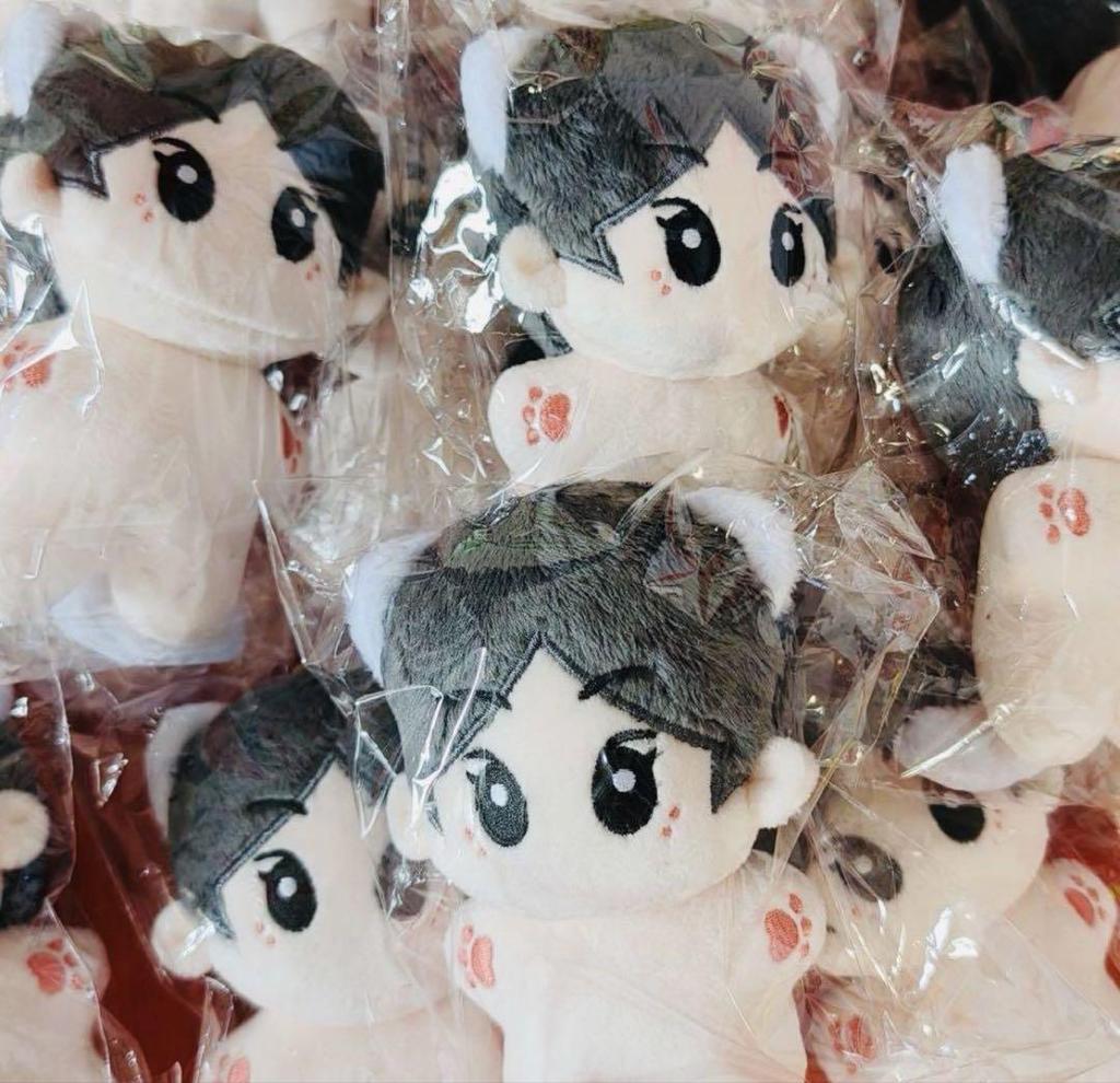 [USED] 10cm Starfish Plush Toy ENHYPEN Yang Jung Won 0914