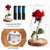 Beauty And The Beast Rose Artificial Flowers Rose In LED Glass Dome Christmas Home Decor Wedding Valentines Day New Year Gift