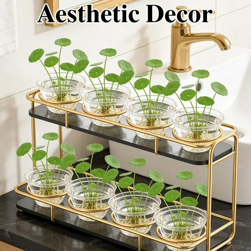 50/300Pcs Transparent Plastic Plant Covers Seedling Trays Hydroponic Containers Home Garden Planting Supplies Nursing Lids