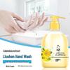 Liu Shen Antibacterial Hand Wash with Calendula Extract, 2 x 500ml