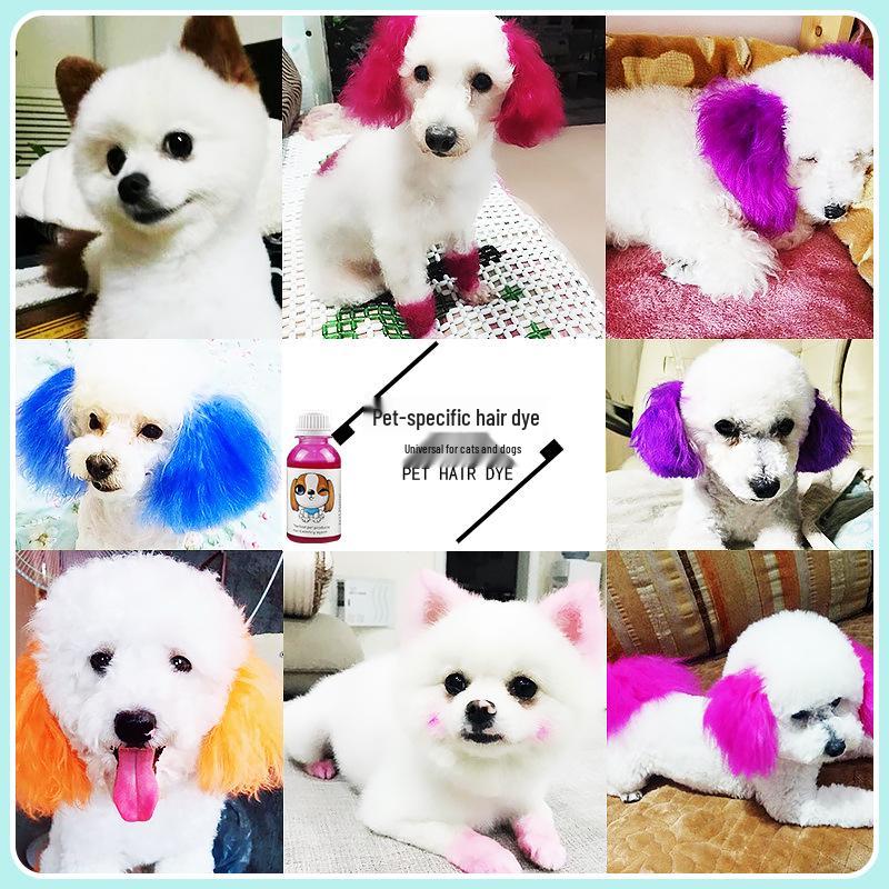 Bichon & Pomeranian White Hair Dye for Pets - Safe and Specialized Formula for Dogs