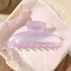 Hair Claw for Women, Semi-Transparent Pearlescent Tones Hair Clip, Large Size Back Head Hair Claw for Thick Long Hair