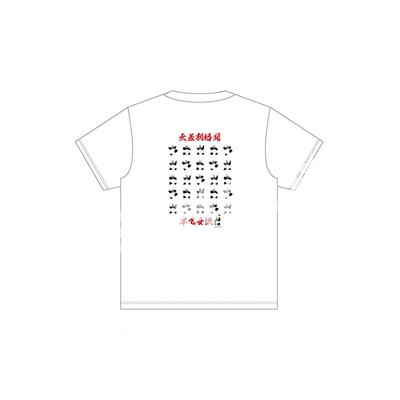 Üst giysisi – T-shirtler