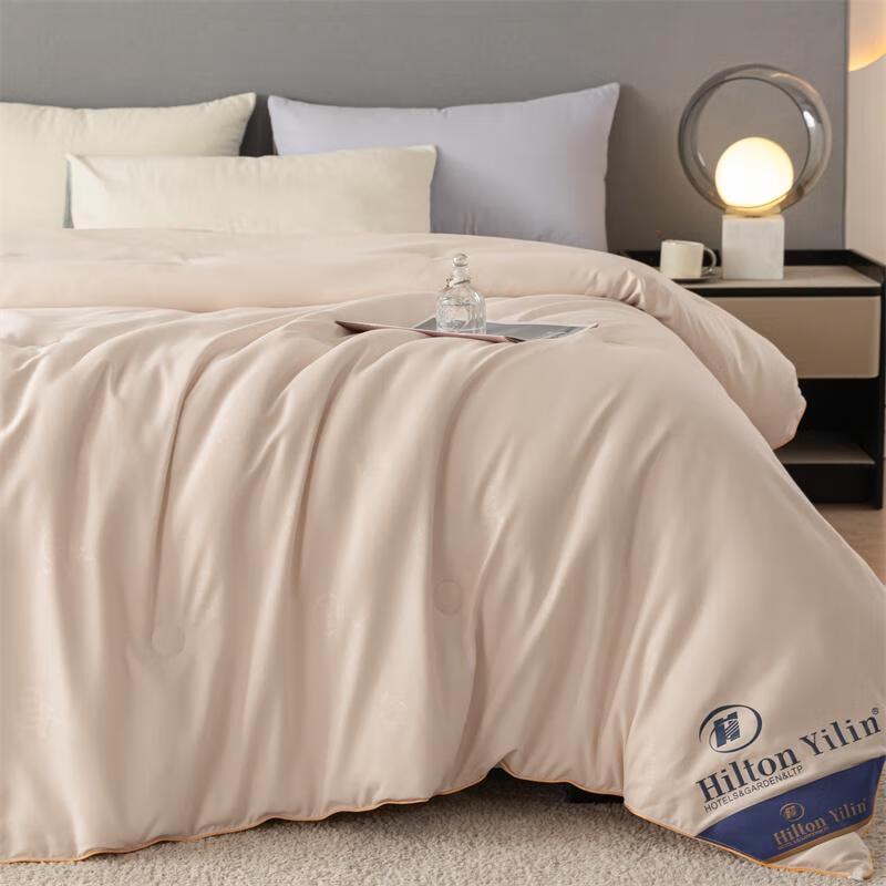 

HANDUNYOUA+ 100% Mulberry Silk Warm Winter Quilt