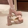 Fashion French Square Toe Block Heel High Heels Women's Sandals New Mary Jane Single Shoes for Spring/Summer 2025