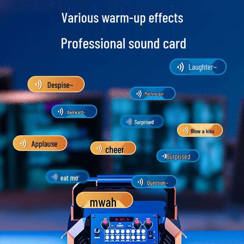 Newsmy K503 Outdoor Portable Karaoke Bluetooth Speaker