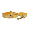 Yellow Dog Collar with Leash and Harness Set