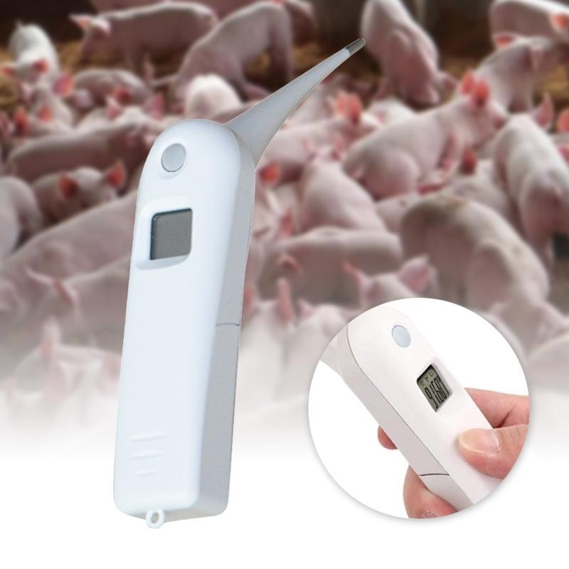 Veterinary Thermometer with Probe Accurate Temps for Horses Sheeps Beeps Alert
