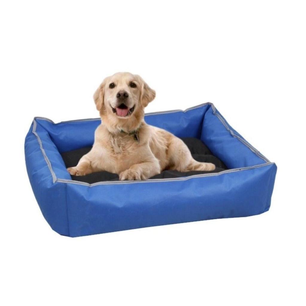 new dog bed