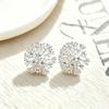 Elegant Silver Zircon Dandelion Earrings with Diamonds