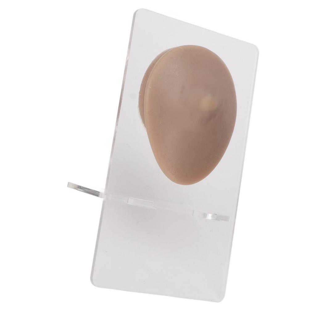 Soft Silicone Single Nipple Model 3D Elastic Simulation Reusable Display Props Body Piercing Model
