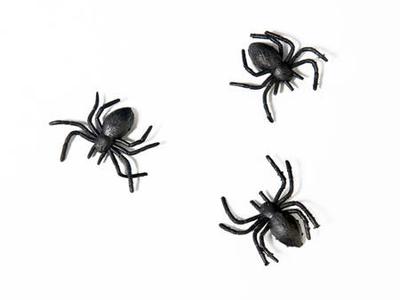 Plastikspinnen, schwarz: 1 Packung/10 Stück.