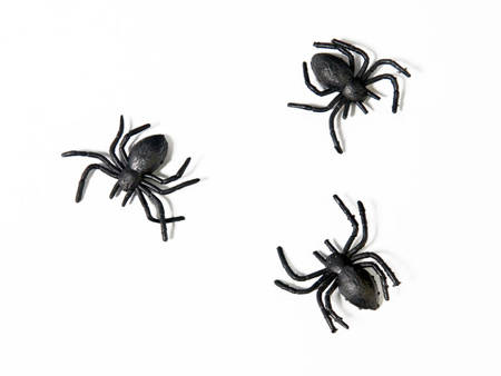 Plastikspinnen, schwarz: 1 Packung/10 Stück.