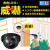 OHM Monban Fake Security Camera Dome Type Constant Flashing 24-Hour Indoor Entrance Battery-Powered Theft Prevention OSE-PDCW1