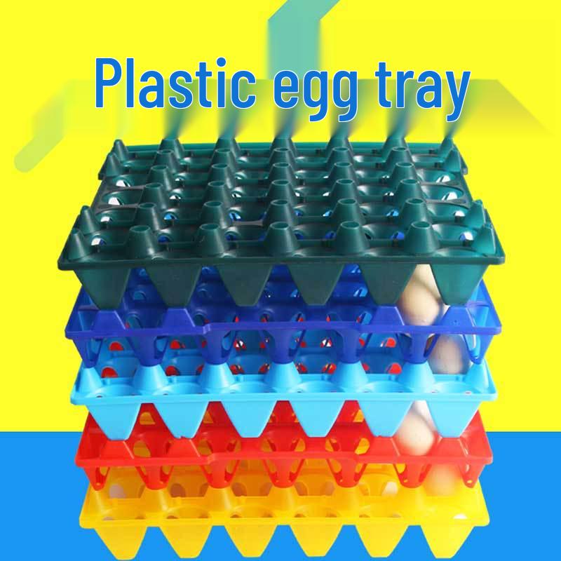 Nowa Plastikowa Tacka na Jajka - Mieści 30 Jajek Kurzych lub 20 Jajek Kaczych