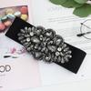 Elastic Belt Feminine Elegance Crystal Diamond Decorative Dress Wide Elastic Waist Seal Three Colors Optional